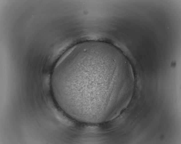 X0000112410066200908281824