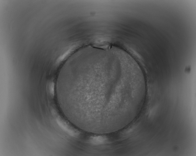 X0000112410067200908281824