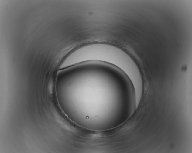 X0000112410068200908281824