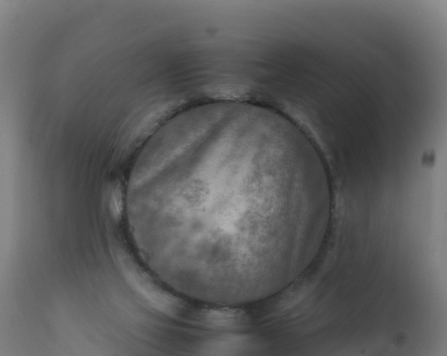 X0000112410069200908281824