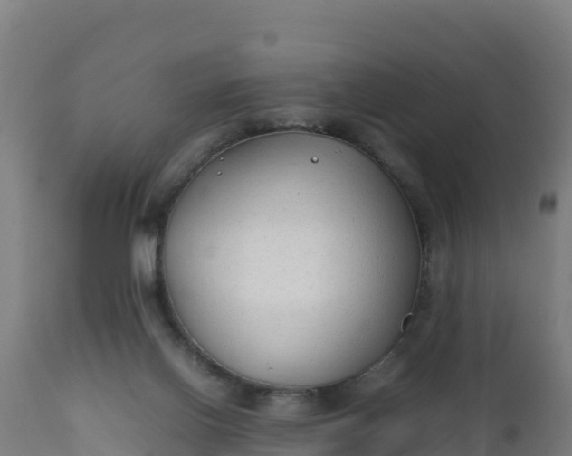 X0000112410070200908281824