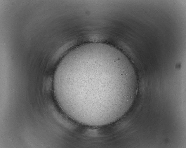 X0000112410071200908281824