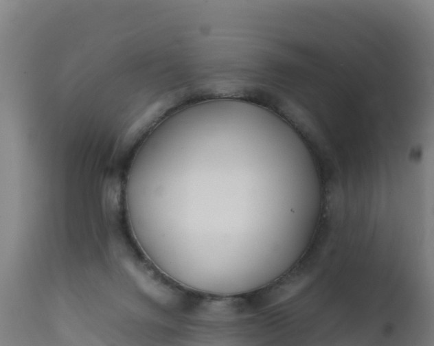 X0000112410072200908281824