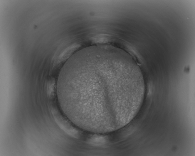 X0000112410073200908281824