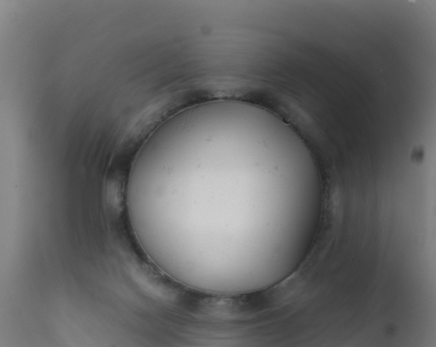 X0000112410074200908281824