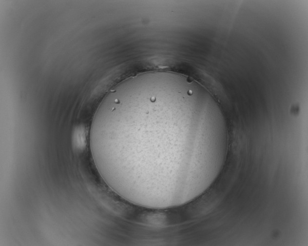 X0000112410075200908281824