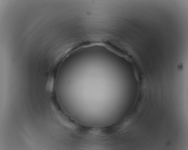 X0000112410076200908281825