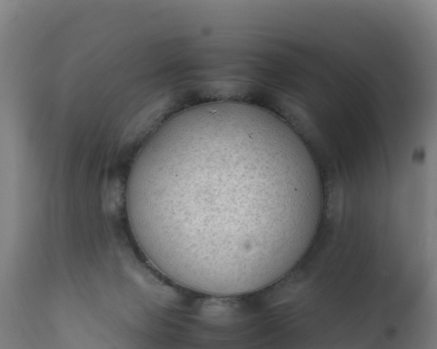 X0000112410077200908281825