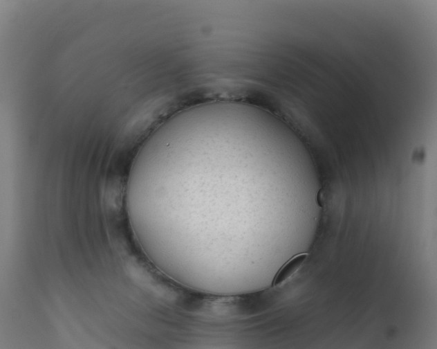 X0000112410078200908281825