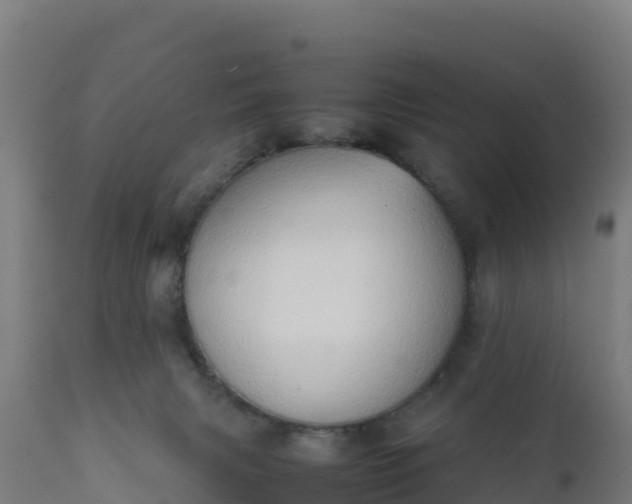 X0000112410079200908281825