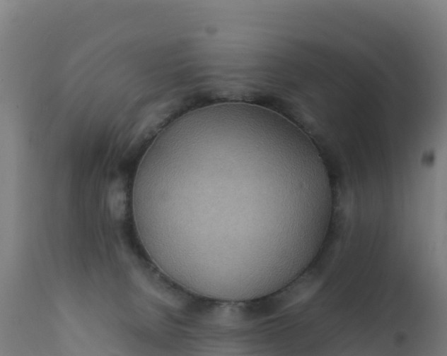 X0000112410080200908281825