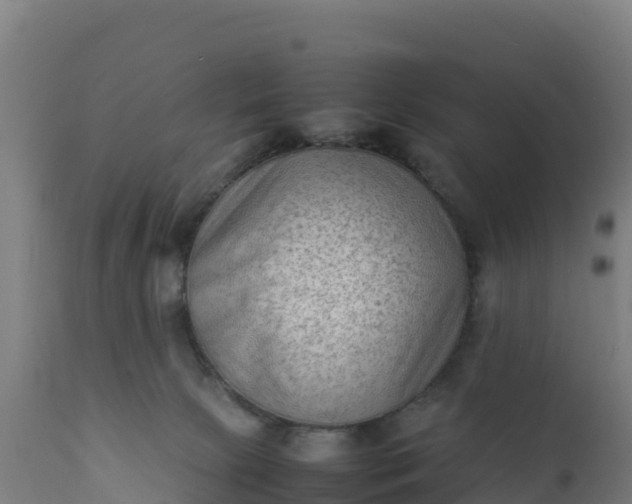 X0000112410081200908281825