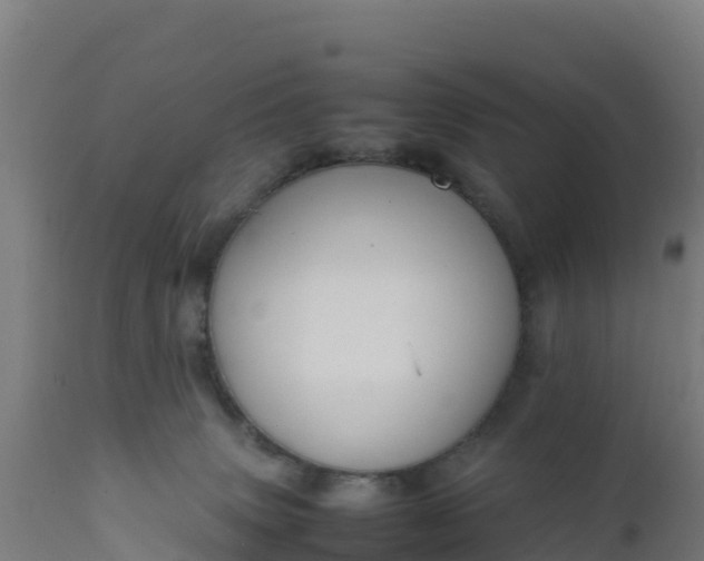 X0000112410083200908281825