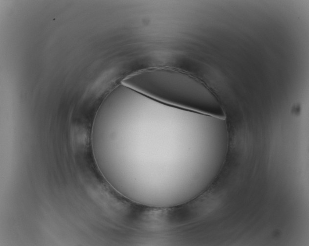 X0000112410084200908281825