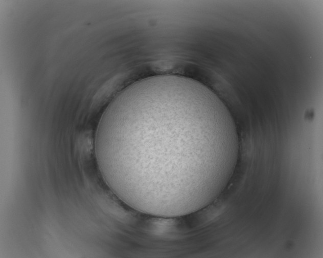 X0000112410085200908281825