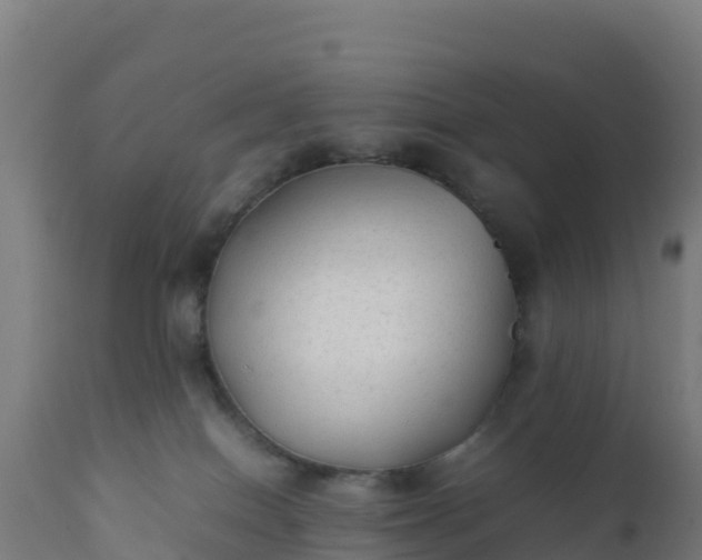 X0000112410086200908281825