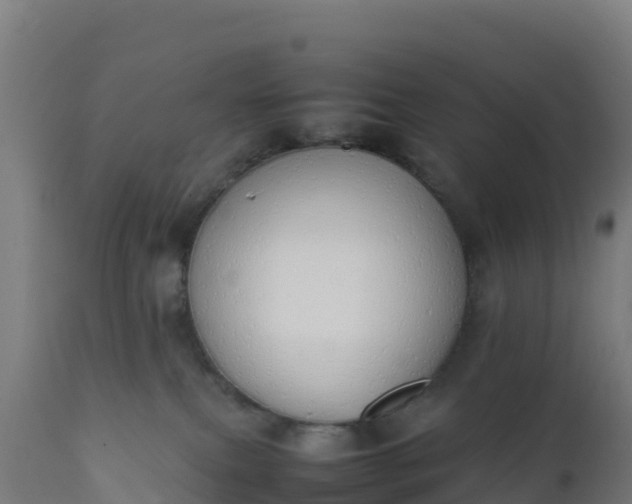 X0000112410087200908281825