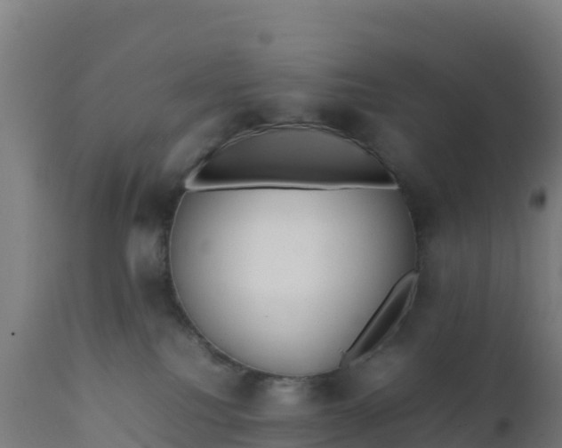 X0000112410088200908281825