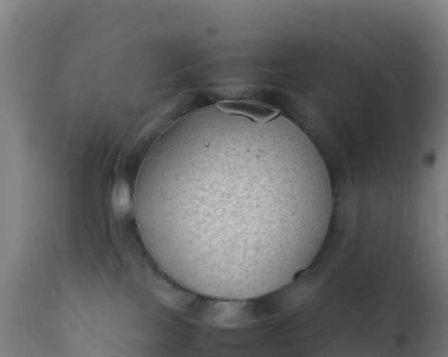 X0000112410089200908281825