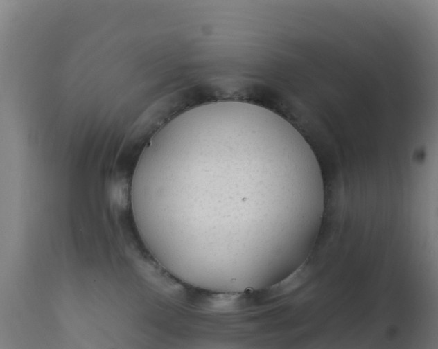 X0000112410090200908281825