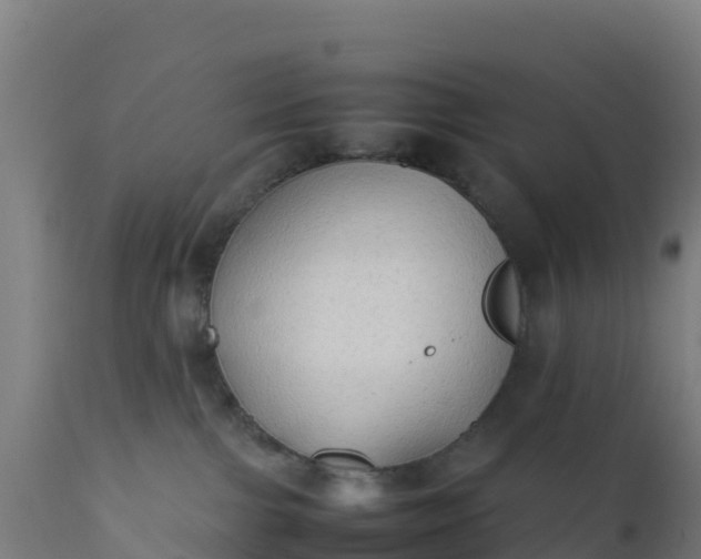 X0000112410091200908281825