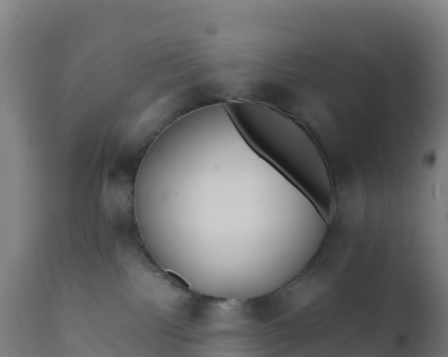 X0000112410092200908281825