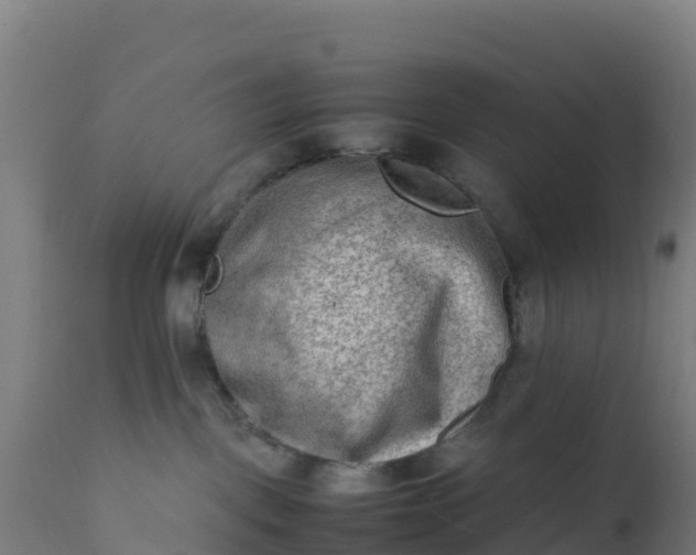 X0000112410093200908281825