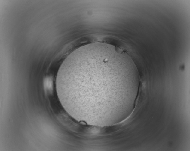 X0000112410094200908281825