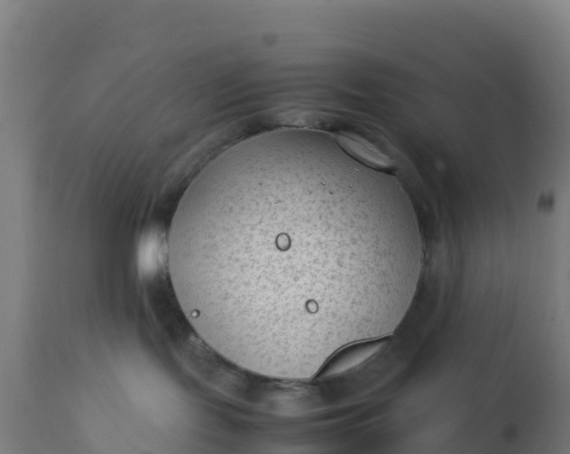 X0000112410095200908281825