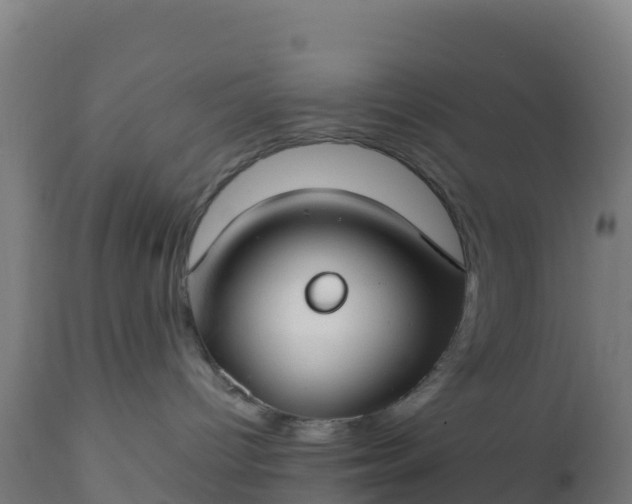 X0000112410096200908281825