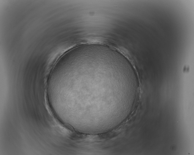 X0000112410097200908281824