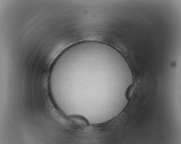 X0000112410098200908281824