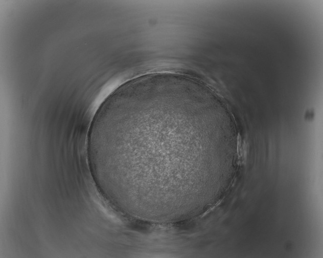 X0000112410099200908281824