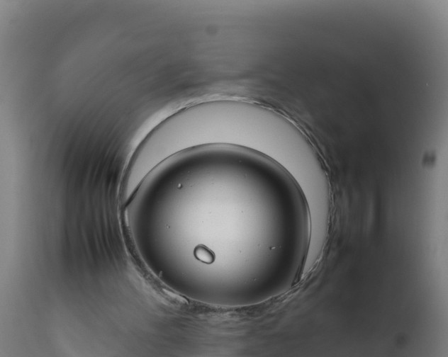 X0000112410100200908281824