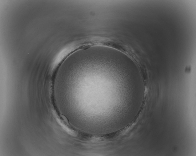 X0000112410101200908281824