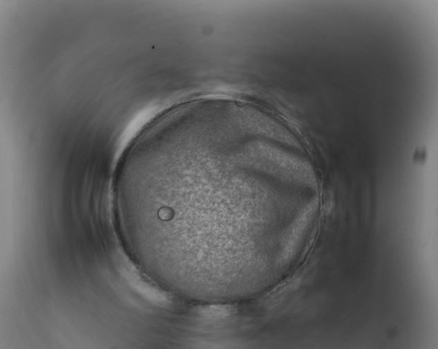 X0000112410102200908281824