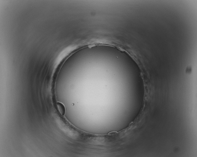 X0000112410104200908281824