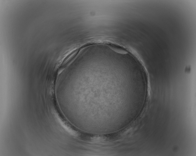 X0000112410105200908281824