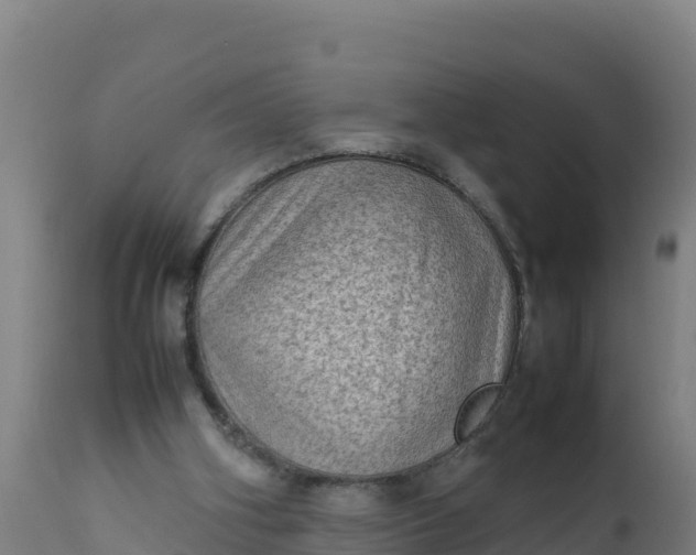 X0000112410106200908281824