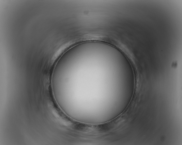 X0000112410107200908281824