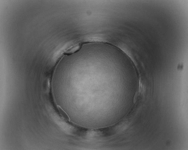 X0000112410109200908281823