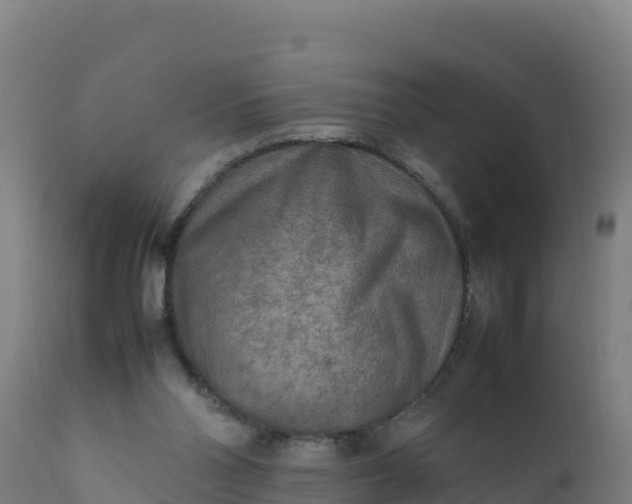 X0000112410110200908281823