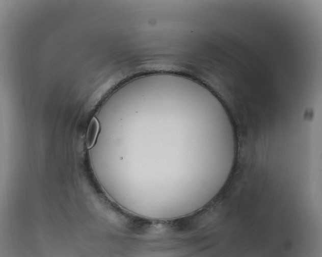 X0000112410111200908281823