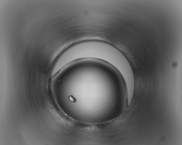 X0000112410112200908281823