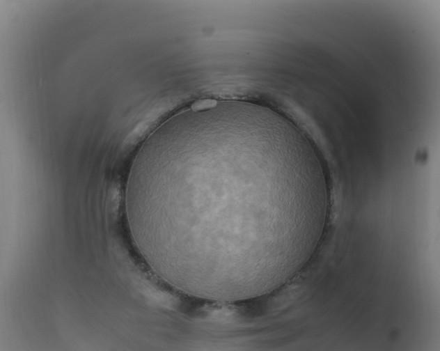 X0000112410113200908281823