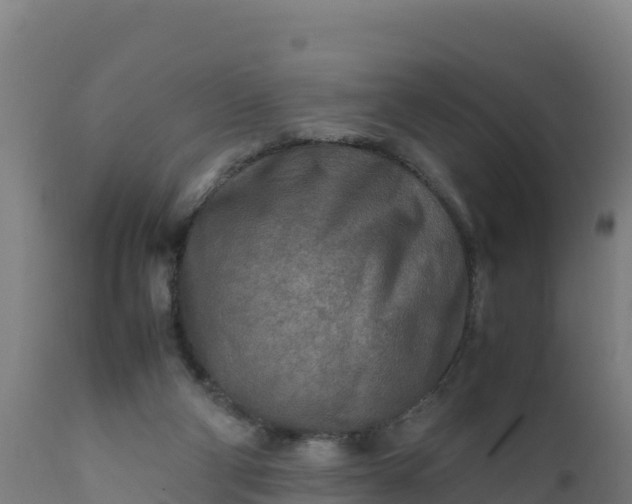 X0000112410114200908281823