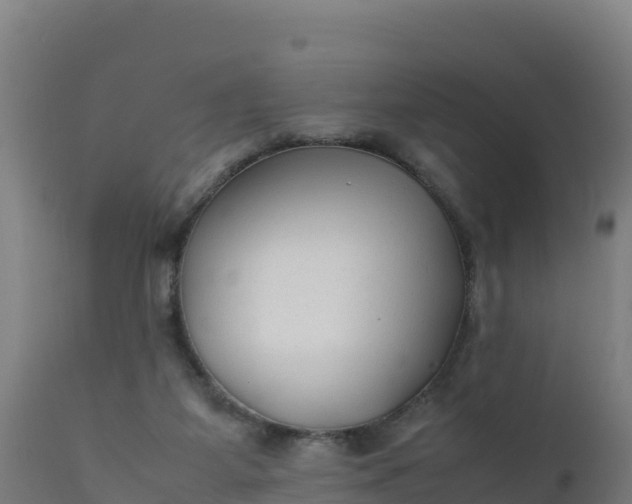 X0000112410115200908281823