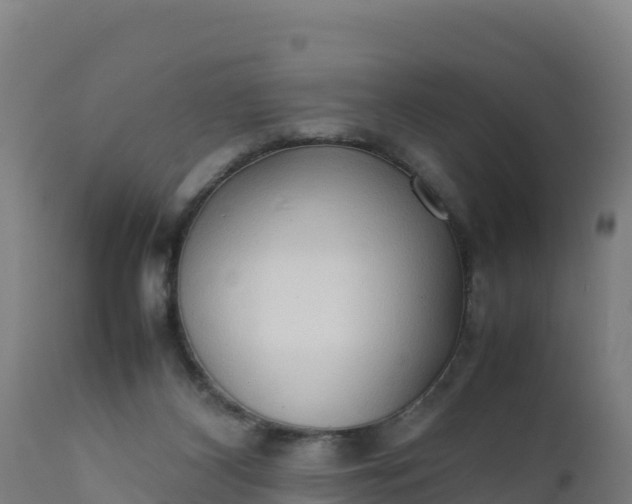 X0000112410116200908281823