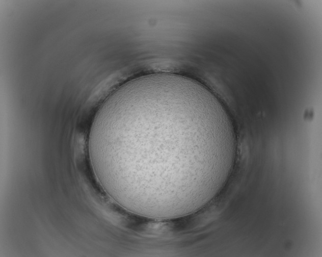 X0000112410117200908281823