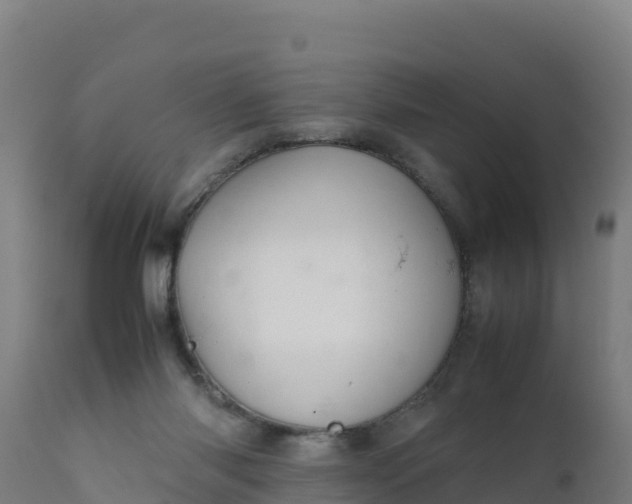 X0000112410118200908281823